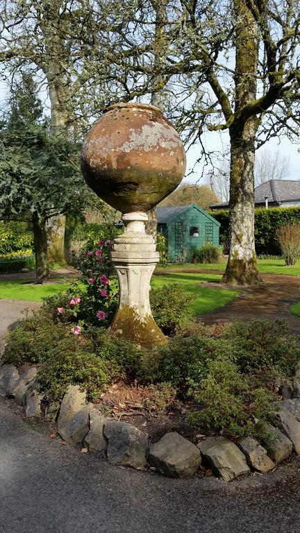 No.5 Bed & Breakfast Kilcullen Εξωτερικό φωτογραφία